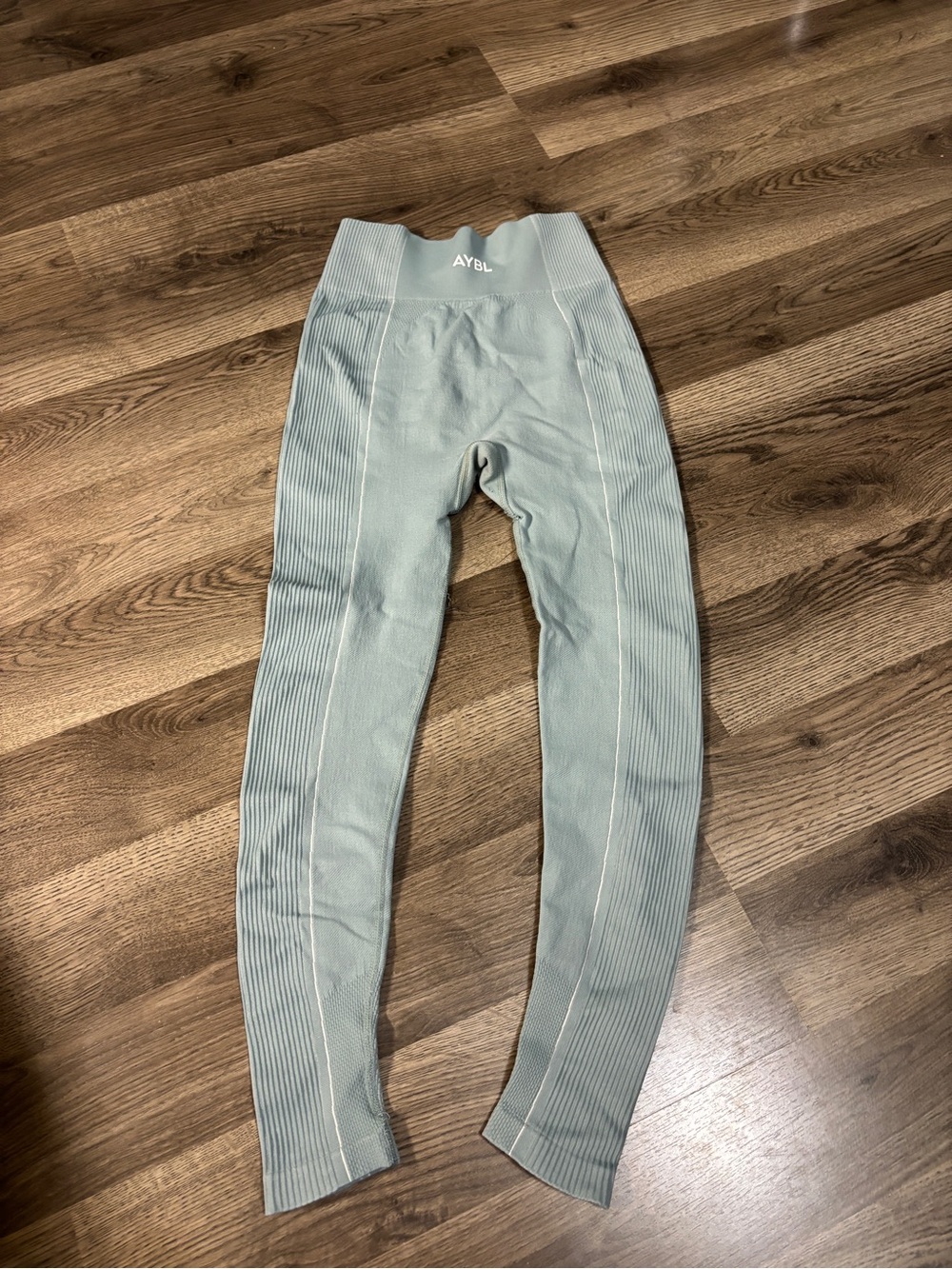 AYBL Ribbed Seamless Leggings in Sage